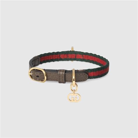 luxury gucci cat collar